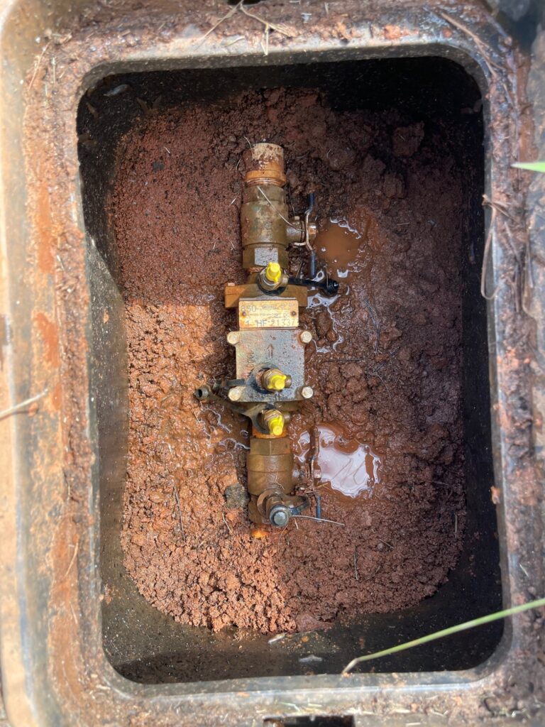 dual check backflow prevention device