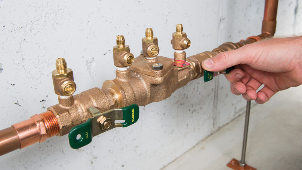 Watts Dual Check Backflow prevention apparatus.